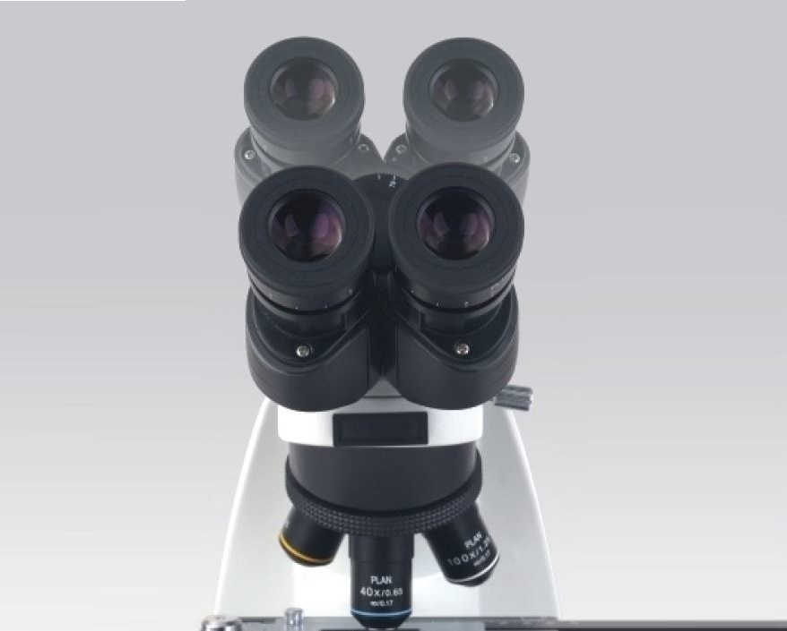 BM-X viewing head